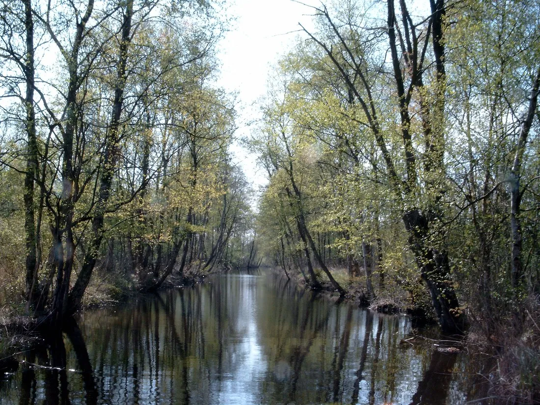 de-wieden-belt-schutsloot-dworl