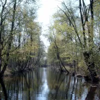 de-wieden-belt-schutsloot-dworl