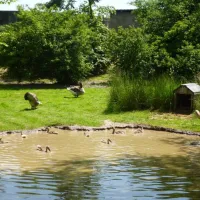 naturcamping-berfhof-alsfeld-hattendorf-8vqvs