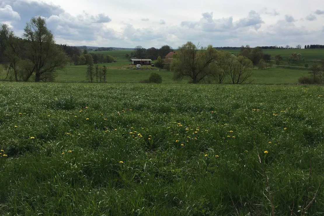naturcamping-berfhof-alsfeld-hattendorf-ay5t0