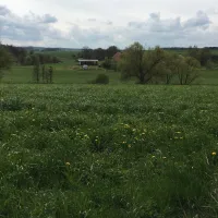 naturcamping-berfhof-alsfeld-hattendorf-ay5t0