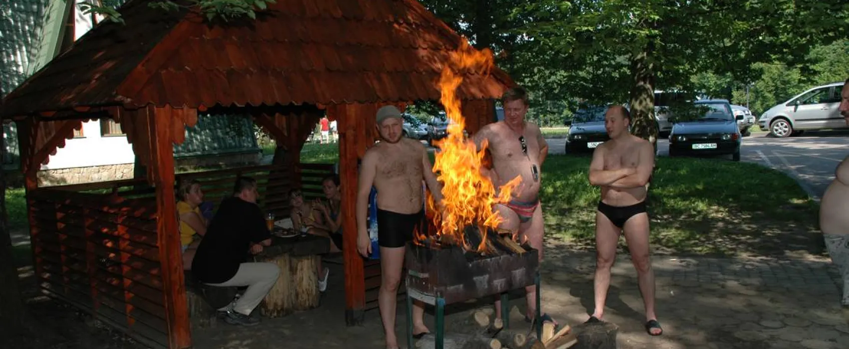Buhta Vikingiv
