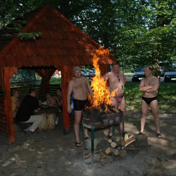 buhta-vikingiv-bibrka-bhbpm