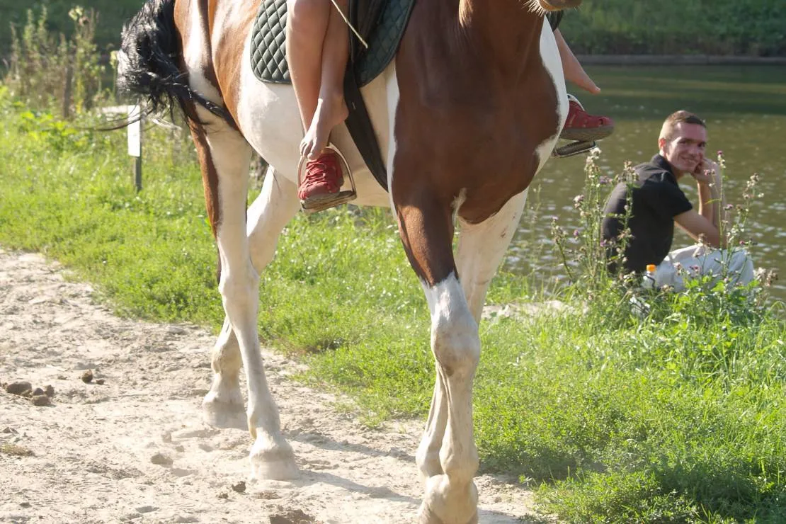 buhta-vikingiv-bibrka-jtnuc