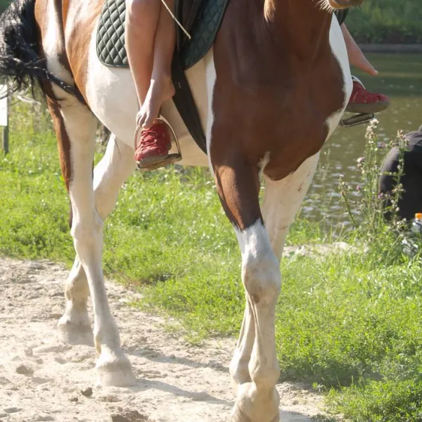 buhta-vikingiv-bibrka-jtnuc