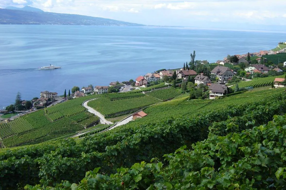 camping-les-horizons-bleus-montreux-region-554kw
