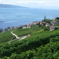camping-les-horizons-bleus-montreux-region-554kw