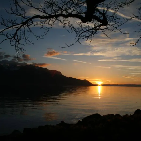camping-les-horizons-bleus-montreux-region-dsktc