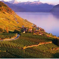 camping-les-horizons-bleus-montreux-region-zth13