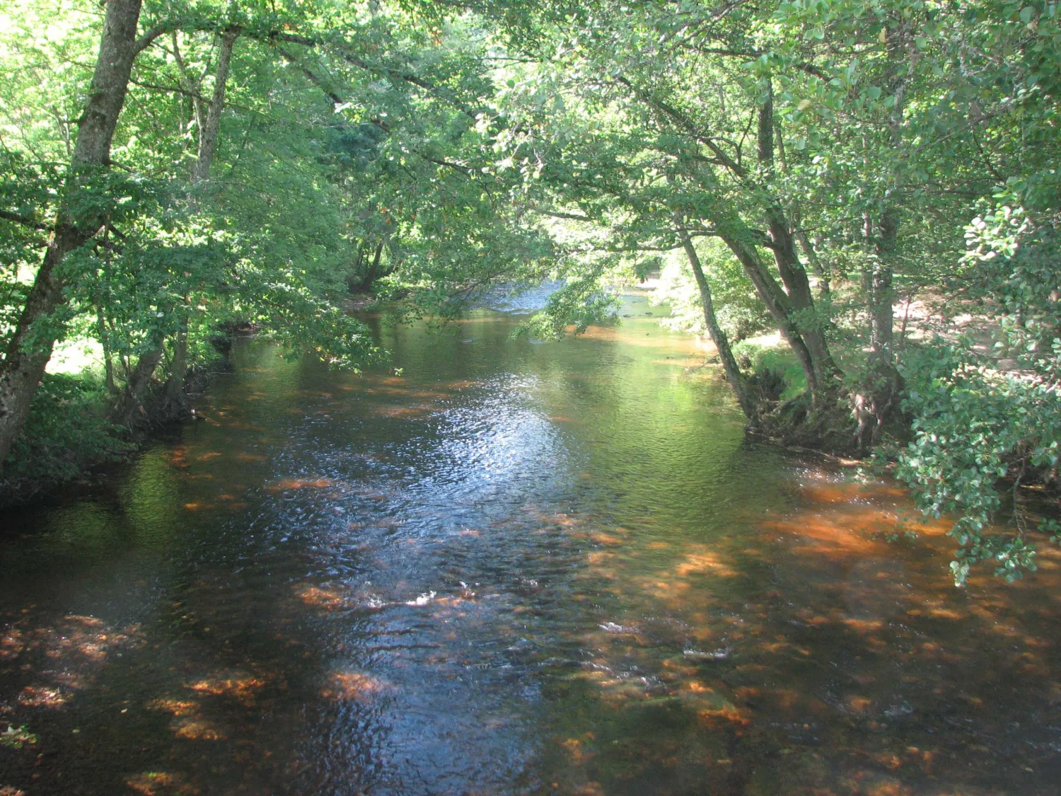 camping-la-vallee-verte-ambert-oczkm