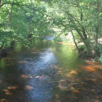 camping-la-vallee-verte-ambert-oczkm