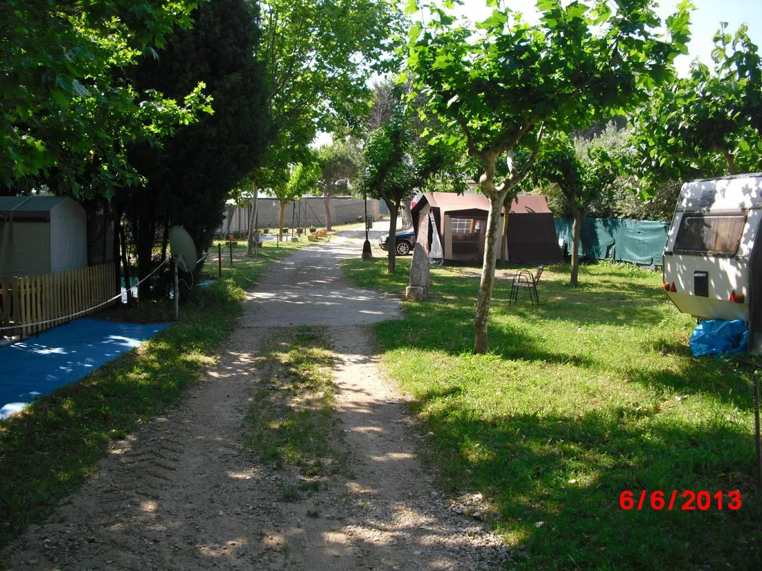 lombra-llanca-n1506