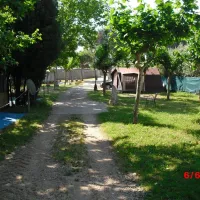 lombra-llanca-n1506