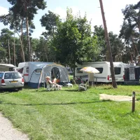 Am Plauer See