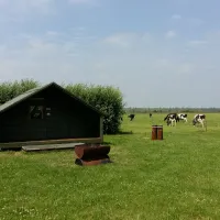 boerencamping-biesboschhoeve-biesbosch-vischplaat-49ner