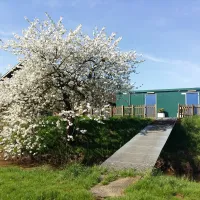 boerencamping-biesboschhoeve-biesbosch-vischplaat-eztgl