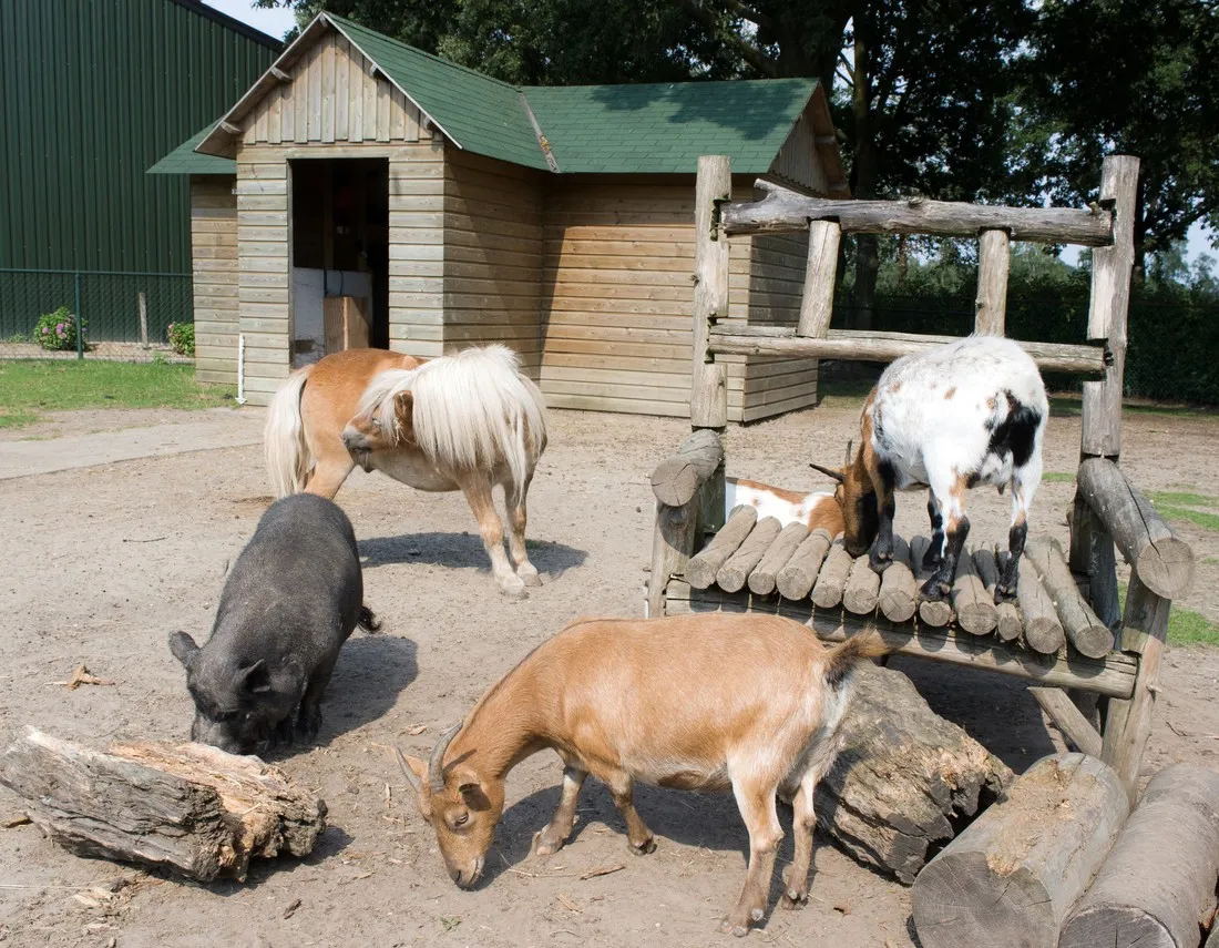 t-witven-recreatiecentrum-veldhoven-aufgp