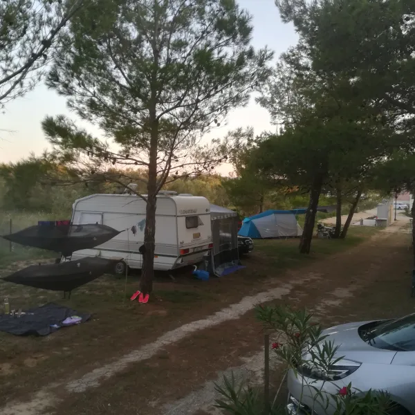 camp-plat-zadar-559ws