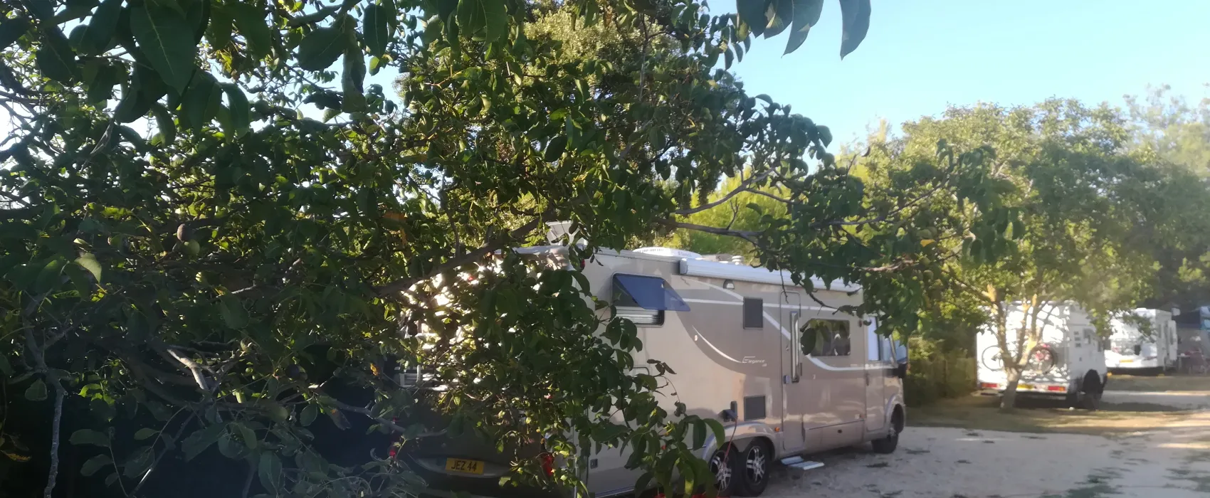 Camp Plat