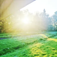 Natuurkampeerterrein Schouteveld