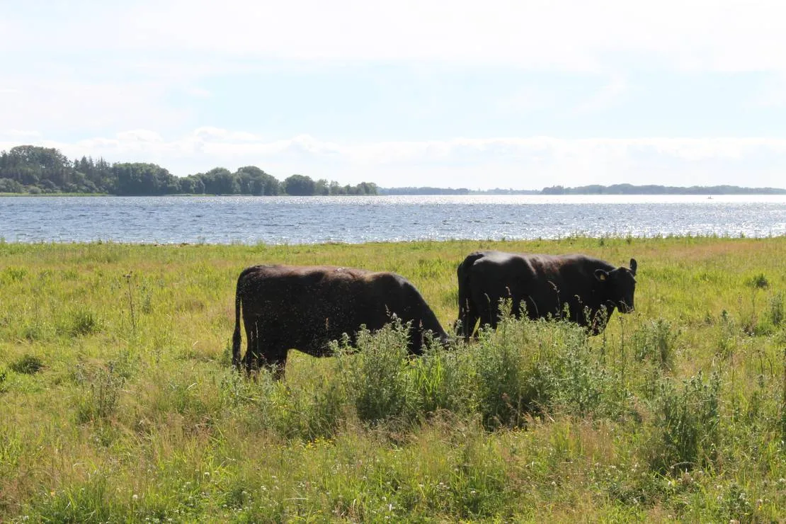 camping-monbroen-stege-7rwaj