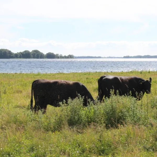camping-monbroen-stege-7rwaj