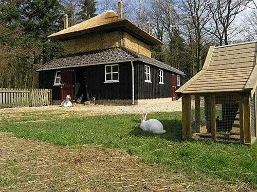 camping-de-helfterkamp-vaassen-9upxw