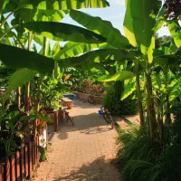 camping-le-paradis-saint-lon-sur-vzre-ir5o8