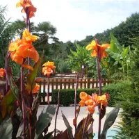 camping-le-paradis-saint-lon-sur-vzre-u6yad