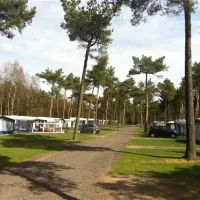 camping-de-scheepsbel-doornspijk-8iaqn