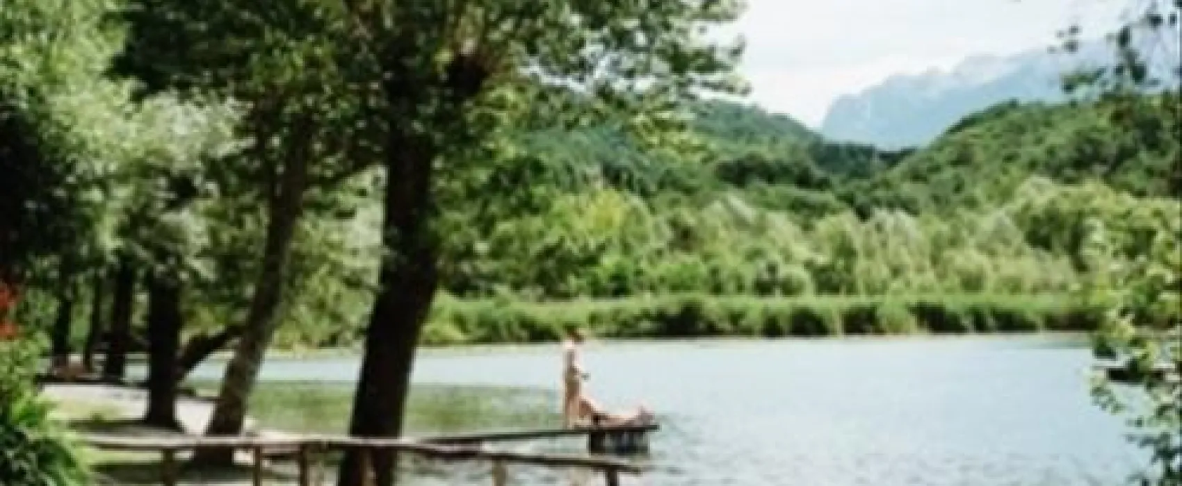 Campeggio Ranocchio