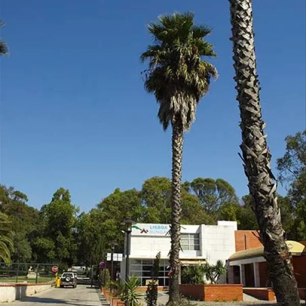 lisboa-camping--bungalows-monsanto-2ymwc