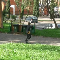 lisboa-camping--bungalows-monsanto-uwnx0