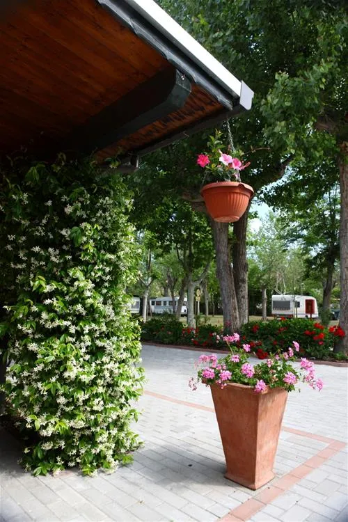camping-green-san-mauro-a-mare-3trn8