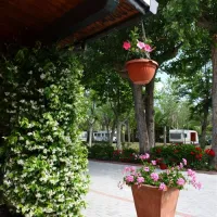 camping-green-san-mauro-a-mare-3trn8