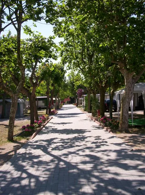 camping-green-san-mauro-a-mare-4jmag