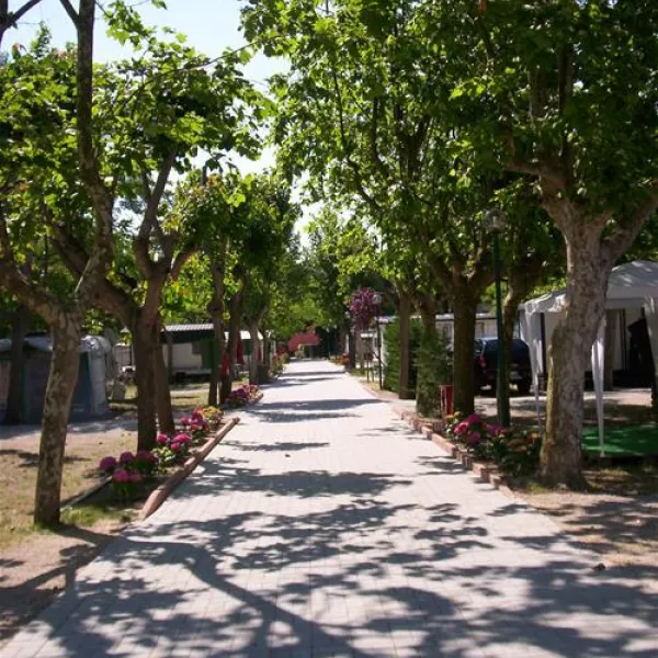 camping-green-san-mauro-a-mare-4jmag