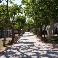 camping-green-san-mauro-a-mare-4jmag