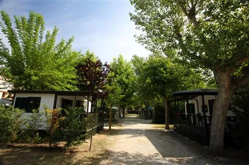 camping-green-san-mauro-a-mare-8umcg