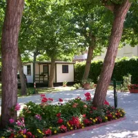 camping-green-san-mauro-a-mare-beou4