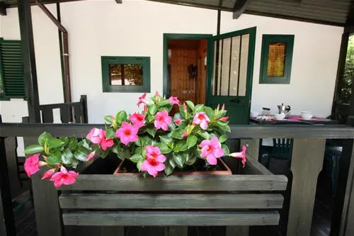 camping-green-san-mauro-a-mare-f65i9