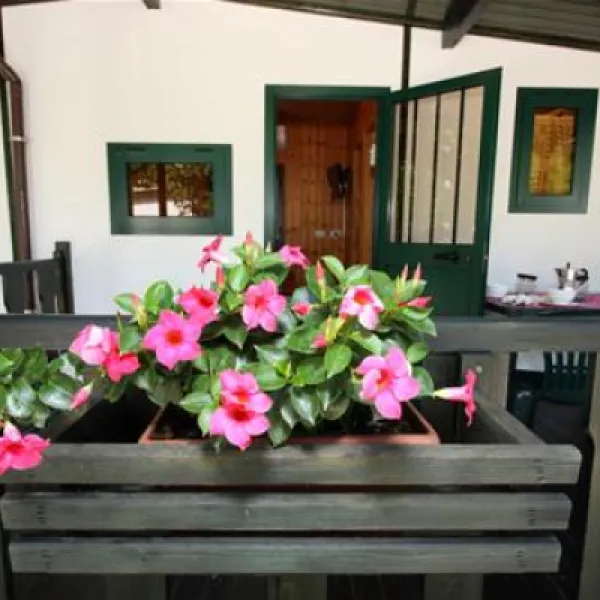 camping-green-san-mauro-a-mare-f65i9