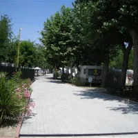 camping-green-san-mauro-a-mare-l8ggz