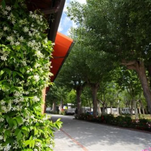 camping-green-san-mauro-a-mare-lvmxy
