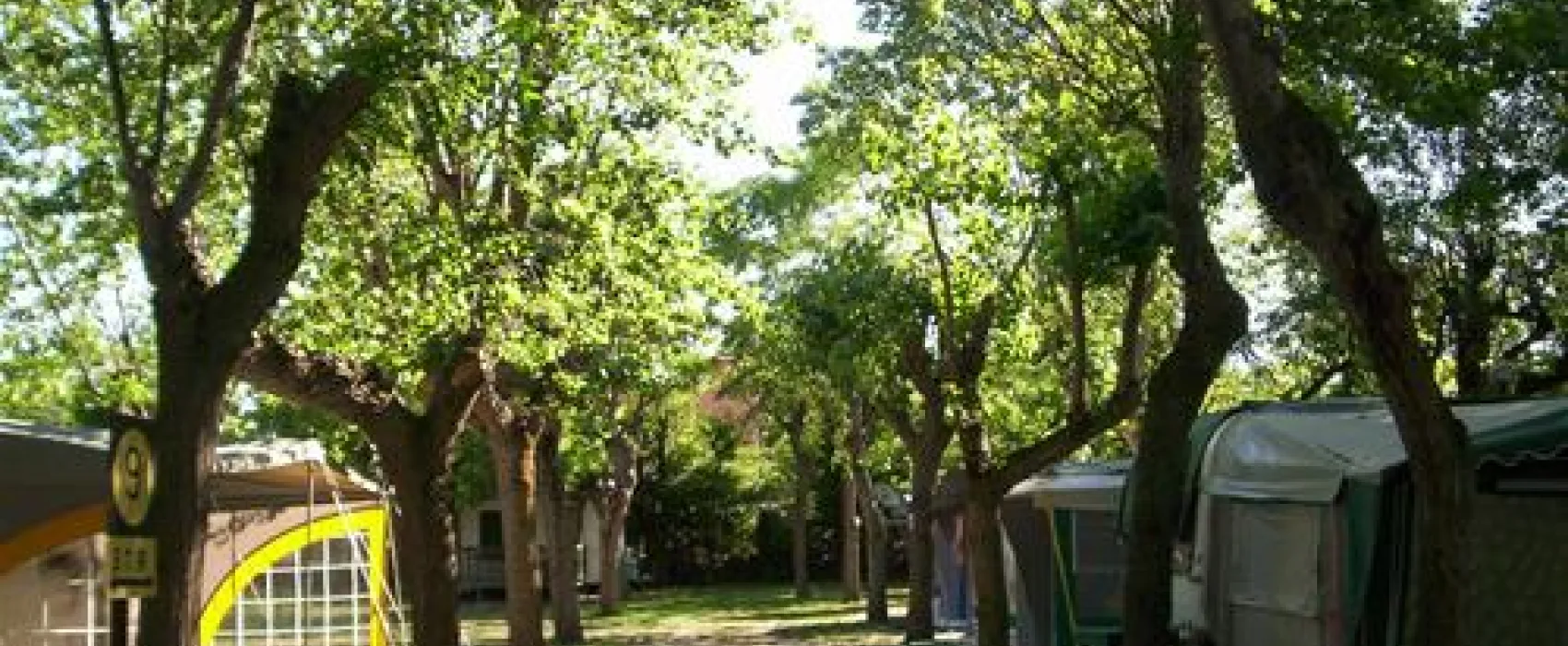 Camping Green