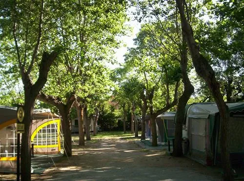 camping-green-san-mauro-a-mare-vvbqu