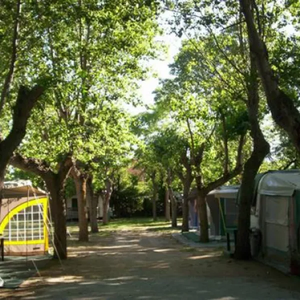 camping-green-san-mauro-a-mare-vvbqu