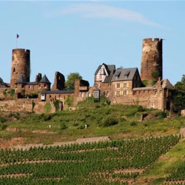 knaus-campingpark-moselburgen-burgenmosel-bpt02