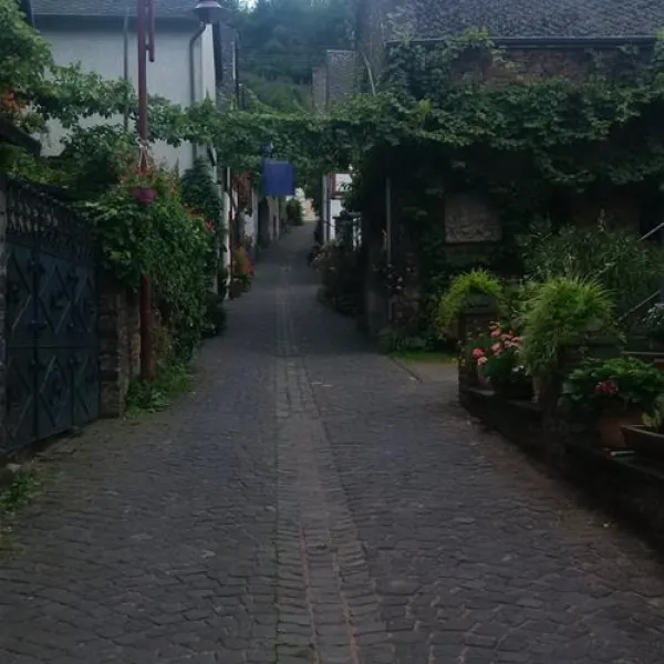 knaus-campingpark-moselburgen-burgenmosel-xclta
