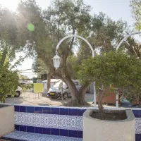 camping-costa-blanca-el-campello-6pjuu